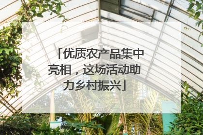 优质农产品集中亮相，这场活动助力乡村振兴