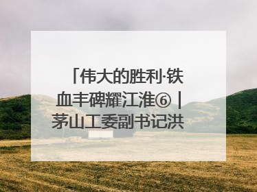 伟大的胜利·铁血丰碑耀江淮⑥｜茅山工委副书记洪天诚的亲笔信