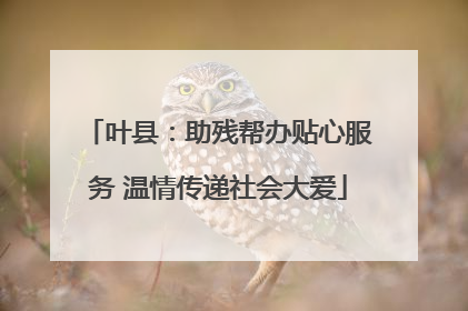 叶县：助残帮办贴心服务 温情传递社会大爱