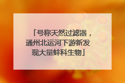 号称天然过滤器，通州北运河下游新发现大量蚌科生物