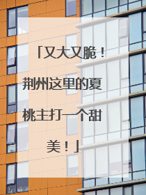 又大又脆！荆州这里的夏桃主打一个甜美！