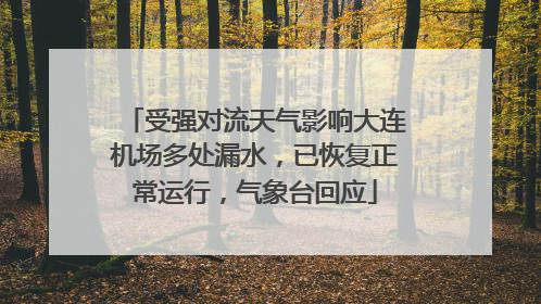 受强对流天气影响大连机场多处漏水，已恢复正常运行，气象台回应