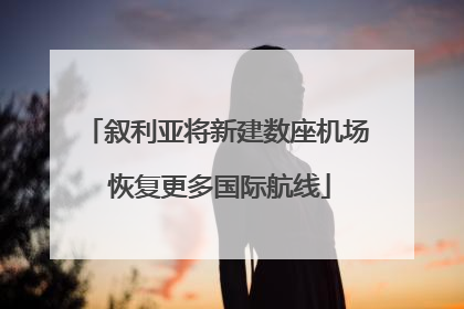 叙利亚将新建数座机场 恢复更多国际航线