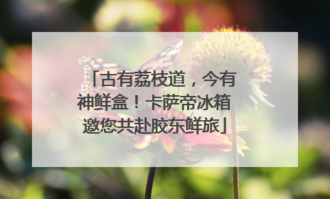 古有荔枝道，今有神鲜盒！卡萨帝冰箱邀您共赴胶东鲜旅