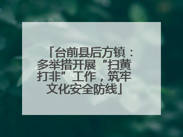 台前县后方镇：多举措开展“扫黄打非”工作，筑牢文化安全防线