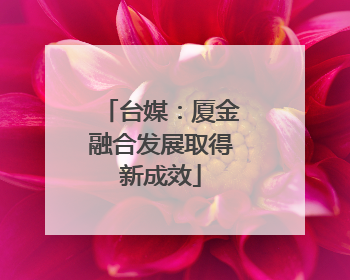 台媒：厦金融合发展取得新成效