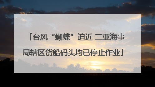 台风“蝴蝶”迫近 三亚海事局辖区货船码头均已停止作业