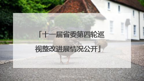 十一届省委第四轮巡视整改进展情况公开