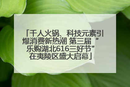 千人火锅、科技元素引爆消费新热潮 第三届“乐购湖北616三好节”在夷陵区盛大启幕