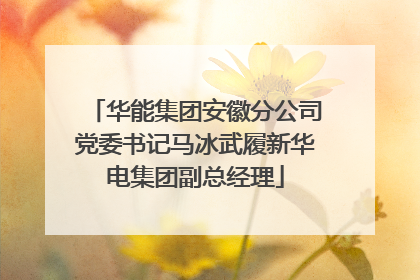 华能集团安徽分公司党委书记马冰武履新华电集团副总经理