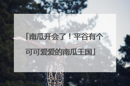 南瓜开会了！平谷有个可可爱爱的南瓜王国