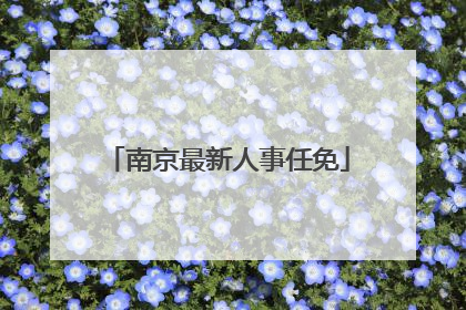 南京最新人事任免