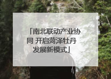 南北联动产业协同 开启菏泽牡丹发展新模式