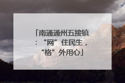 南通通州五接镇：“网”住民生，“格”外用心