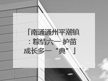 南通通州平潮镇：粽情六一 护苗成长多一“典”