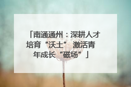 南通通州：深耕人才培育“沃土” 激活青年成长“磁场”