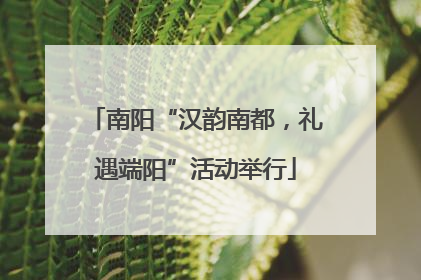 南阳“汉韵南都，礼遇端阳”活动举行
