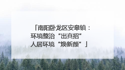 南阳卧龙区安皋镇：环境整治“出真招” 人居环境“焕新颜”