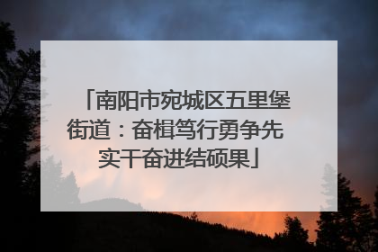 南阳市宛城区五里堡街道：奋楫笃行勇争先 实干奋进结硕果