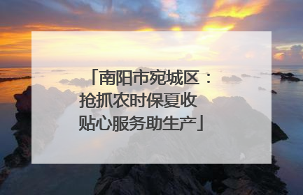 南阳市宛城区：抢抓农时保夏收 贴心服务助生产