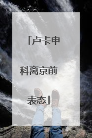 卢卡申科离京前表态