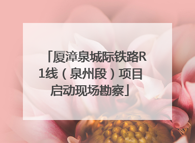 厦漳泉城际铁路R1线（泉州段）项目启动现场勘察