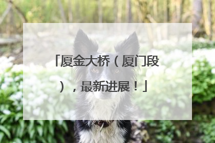 厦金大桥（厦门段），最新进展！