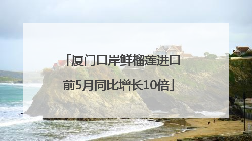 厦门口岸鲜榴莲进口 前5月同比增长10倍