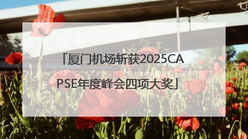 厦门机场斩获2025CAPSE年度峰会四项大奖