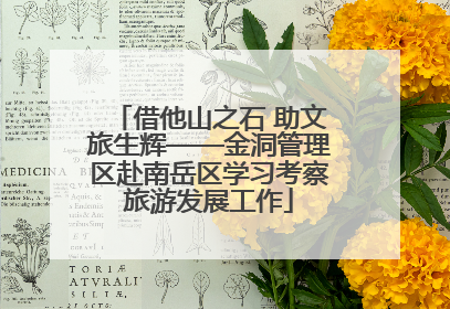 借他山之石 助文旅生辉——金洞管理区赴南岳区学习考察旅游发展工作