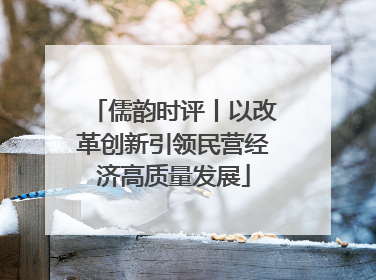 儒韵时评丨以改革创新引领民营经济高质量发展