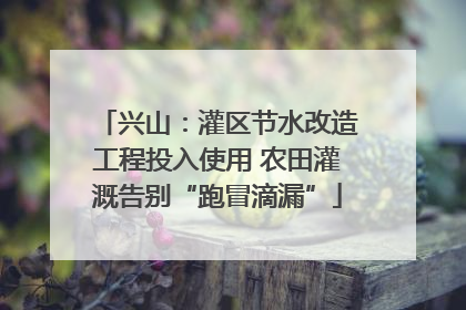 兴山：灌区节水改造工程投入使用 农田灌溉告别“跑冒滴漏”