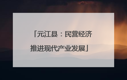 元江县：民营经济推进现代产业发展