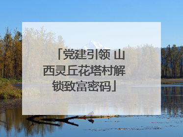 党建引领 山西灵丘花塔村解锁致富密码