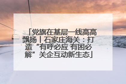 党旗在基层一线高高飘扬丨石家庄海关：打造“有呼必应 有困必解”关企互动新生态