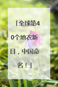 全球第40个地衣新目，中国命名！