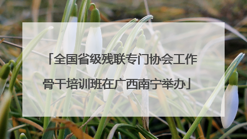 全国省级残联专门协会工作骨干培训班在广西南宁举办