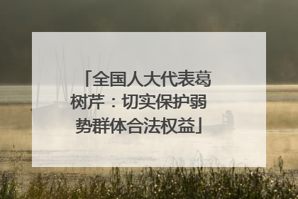 全国人大代表葛树芹：切实保护弱势群体合法权益