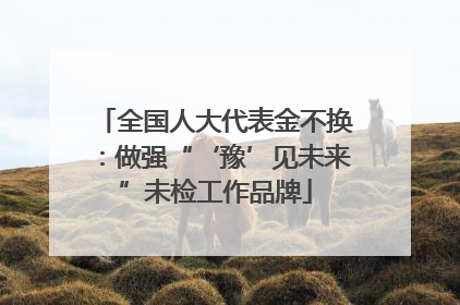 全国人大代表金不换：做强“‘豫’见未来”未检工作品牌