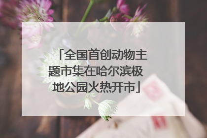 全国首创动物主题市集在哈尔滨极地公园火热开市
