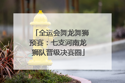 全运会舞龙舞狮预赛：七支河南龙狮队晋级决赛圈