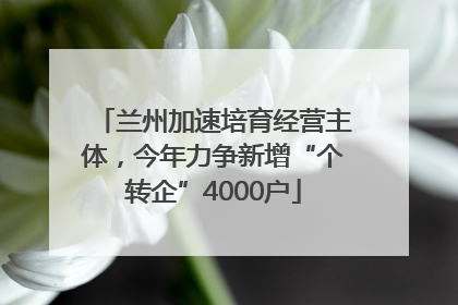 兰州加速培育经营主体，今年力争新增“个转企”4000户