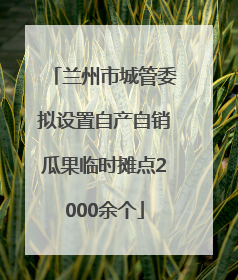 兰州市城管委拟设置自产自销瓜果临时摊点2000余个