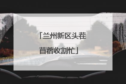兰州新区头茬苜蓿收割忙