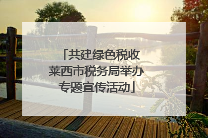 共建绿色税收 莱西市税务局举办专题宣传活动