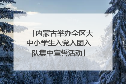 内蒙古举办全区大中小学生入党入团入队集中宣誓活动