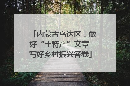 内蒙古乌达区：做好“土特产”文章 写好乡村振兴答卷