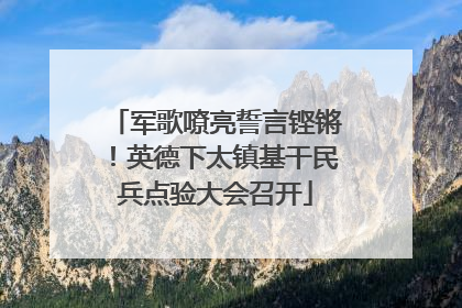 军歌嘹亮誓言铿锵！英德下太镇基干民兵点验大会召开