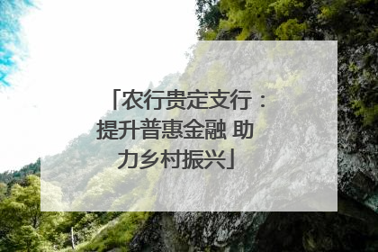 农行贵定支行：提升普惠金融 助力乡村振兴