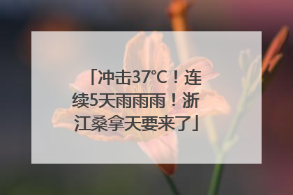 冲击37℃！连续5天雨雨雨！浙江桑拿天要来了
